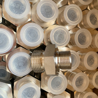 1B-SS316 Adaptadores hidráulicos inoxidables BSP Chacha rosca acero manguera adaptadores ukaxa conector hidráulico ukampi luratawa.