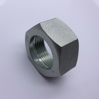 Managaramid ti hydraulic galvanized hex nut meric hex nuts para kadagiti tubo a pagkargaan .