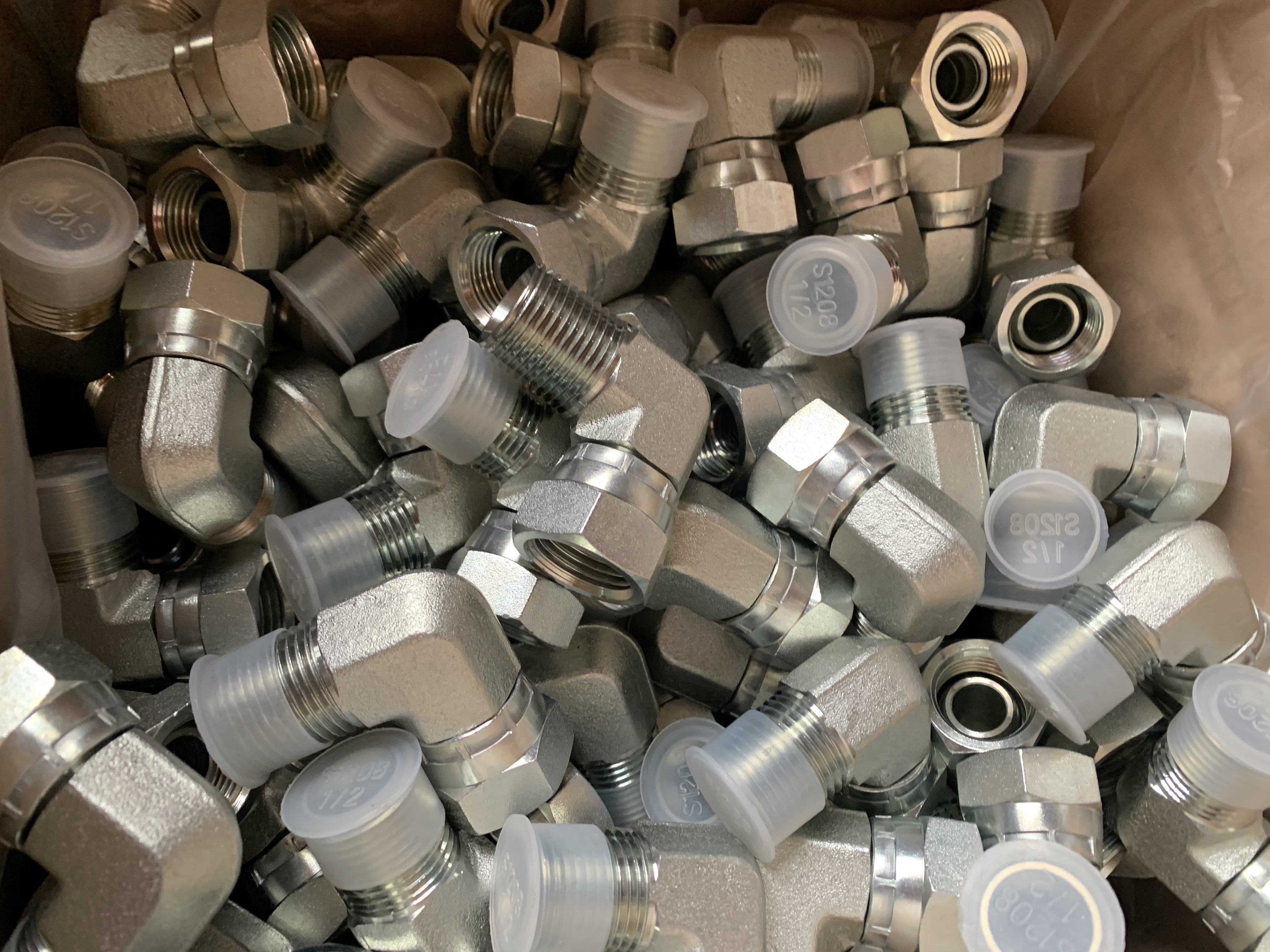 Teempireecharaa5zwnxn .